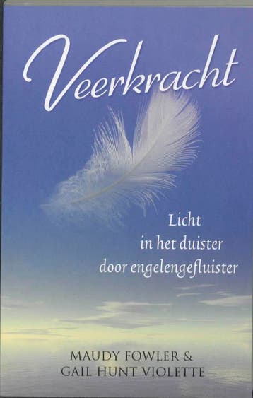 Veerkracht - Maudy Fowler 9789020203479, Boeken, Verzenden, Zo goed als nieuw, Maudy Fowler