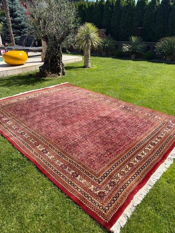 Top Indo Bidjar - Tapijt - 350 cm - 250 cm, Nieuw