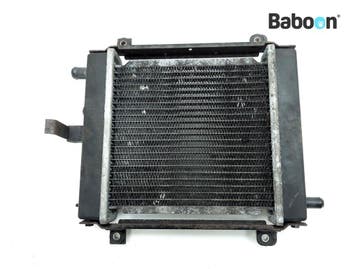 Radiateur Kymco Xciting 300 i R 2009-2010 (T72011), Verzenden, Gebruikt