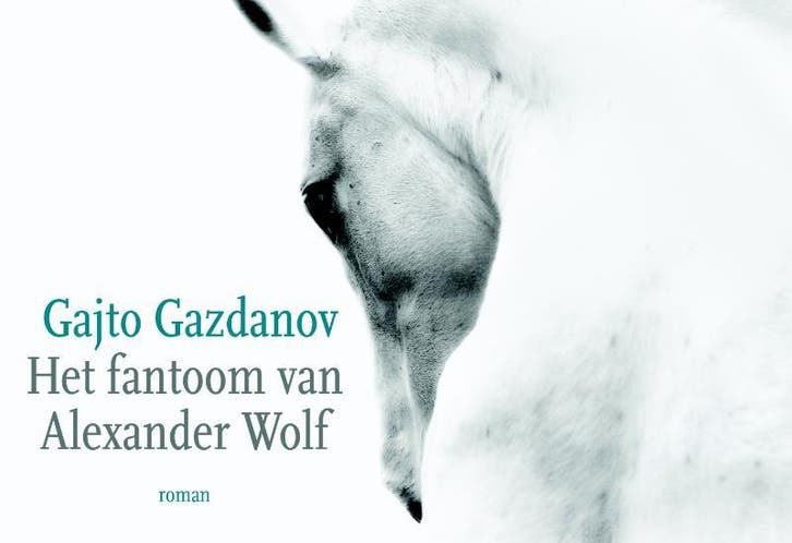 Het fantoom van Alexander Wolf / Dwarsligger / 280, Boeken, Romans, Zo goed als nieuw, Verzenden