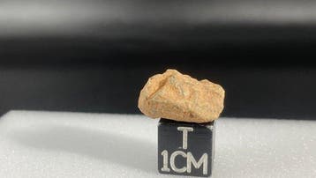 kleine maan (troctolite smeltebreccie) - 2 g - (1)