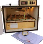 MS35 broedmachine 35 eieren semi automatisch | €439, Verzenden, Nieuw, Broedmachine