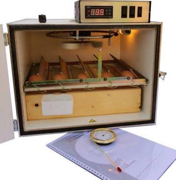 MS35 broedmachine 35 eieren semi automatisch | €439, Verzenden, Nieuw, Broedmachine