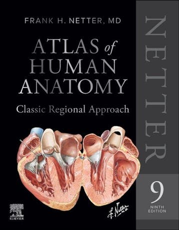 9780443286537 Netter Basic Science- Netter Atlas of Human..., Boeken, Verzenden, Nieuw, Frank H. Netter