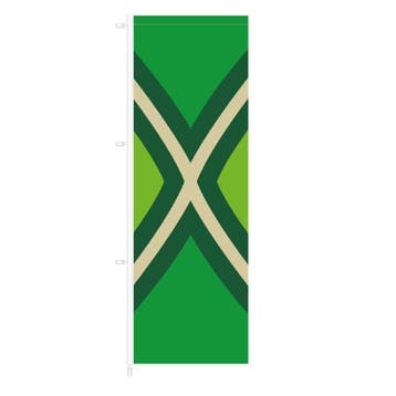 NR 304: Achterhoekse vlag banier, Nieuw