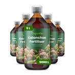 Kalanchoë vloeibare meststof - Set 5x1 liter, Verzenden, Mest