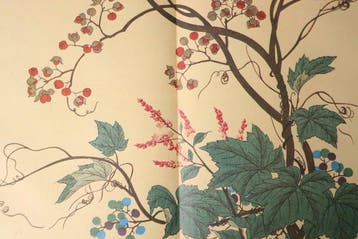 Sakai Hitsu - Shiki no Hana ( Flowers of Four Seasons)