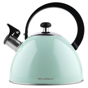 Florina Brillo fluitketel RVS mint groen 2.5 Liter - ook, Witgoed en Apparatuur, Waterkokers, Ophalen of Verzenden, Nieuw