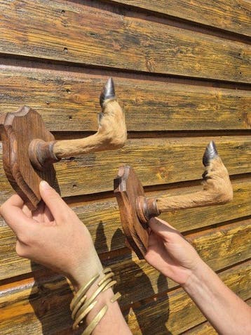 Ree Taxidermie wandmontage - Chevreuil - 9 cm - 3 cm - 11 cm