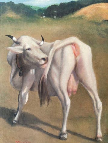 Antonio Sole (1933-2020) - Mucca al pascolo