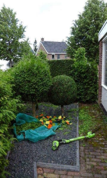 Tuinman Twente - Heg snoeien - Ootmarsum / Duitse grens, Tuin- of Vijveraanleg