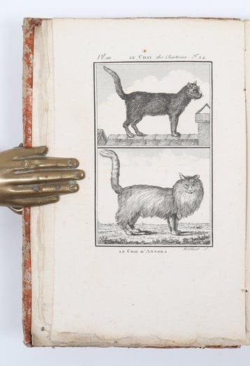 Georges-Louis Leclerc, Comte de Buffon - Histoire naturelle,, Antiek en Kunst