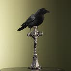 Kraai op Kruis Taxidermie Opgezette Dieren By Max, Verzamelen, Dierenverzamelingen, Ophalen of Verzenden, Nieuw, Vogel, Opgezet dier