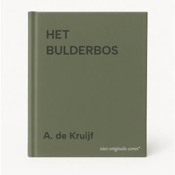 HET BULDERBOS - A. de Kruijf 9789053303450, Verzenden, Gelezen, A. de Kruijf