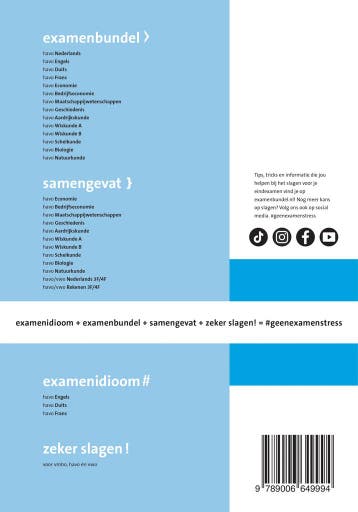 Samengevat / havo Bedrijfseconomie 9789006649994, Boeken, Schoolboeken, Verzenden, Zo goed als nieuw, Drs. A. Maurer