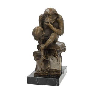 sculptuur, Darwins Monkey - 33 cm - Brons