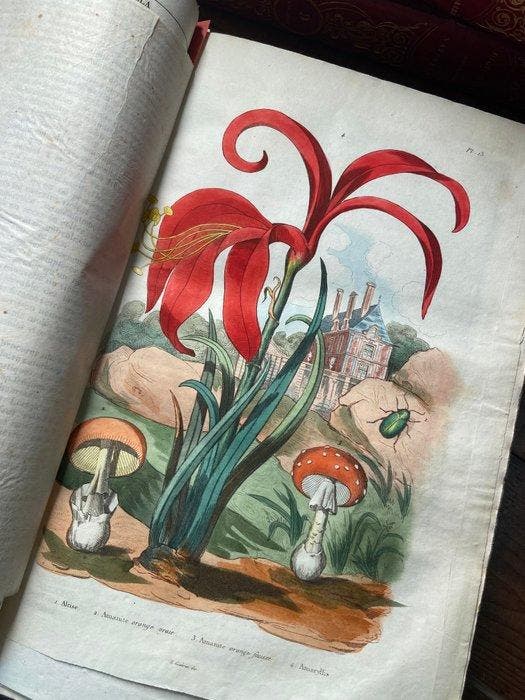 Società di naturalisti sotto la direzione di F.-E. Guérin -, Antiek en Kunst, Antiek | Boeken en Bijbels