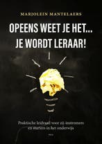 Opeens weet je het â¦ je wordt leraar 9789493209329, Verzenden, Zo goed als nieuw