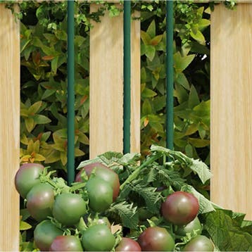 vidaXL Plantenstaken 30 st 150 cm staal groen, Tuin en Terras, Bloembakken en Plantenbakken, Verzenden, Nieuw, 60 cm of meer
