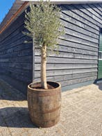 Halve whiskyvaten - bloembakken - stoer en uniek - eikenhout, Rond, Nieuw, Ophalen of Verzenden, Balkon