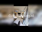 Flat in Haarlem aangeboden voor woningruil, Huizen en Kamers, Woningruil, Amsterdam