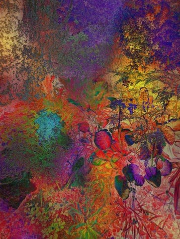 Viet Ha Tran - Shades of Dreams XIV