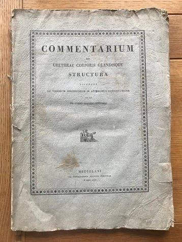 Alexandri Moreschii [Alessandro Moreschi] - Commentarium de