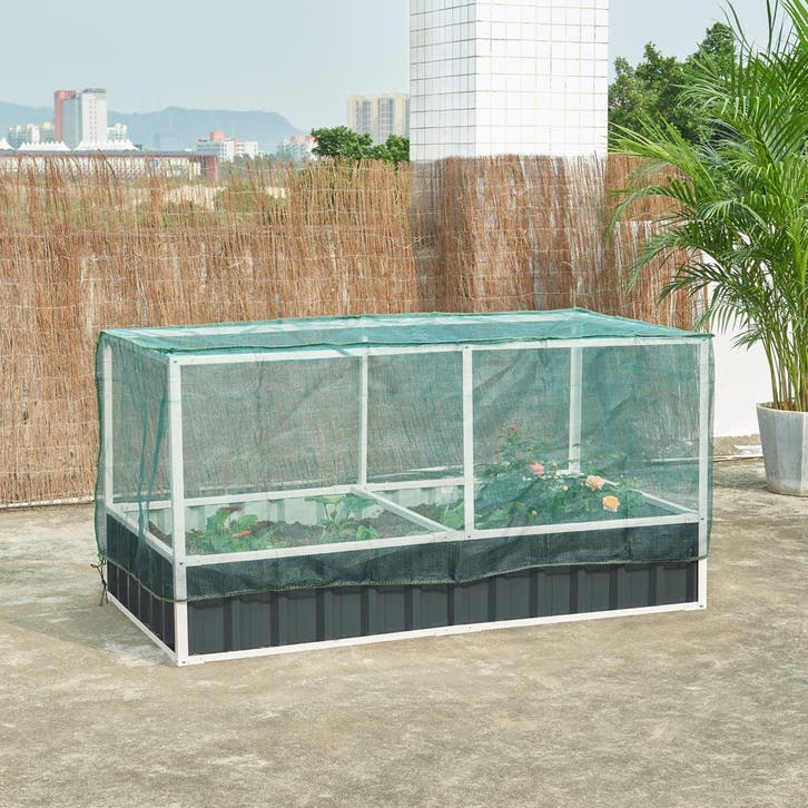 Moestuinbak met net Alblasserdam met 1 paar handschoenen 174, Tuin en Terras, Planten | Tuinplanten, Verzenden