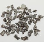 Campo del Cielo meteorite IJzer meteoriet - 50 g