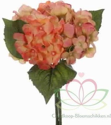 Hortensia Hydrangea Boeketje Peach Zijdenbloem 5 stuks, Ophalen of Verzenden, Nieuw