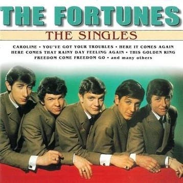 cd - The Fortunes - The Singles, Cd's en Dvd's, Verzenden, Zo goed als nieuw