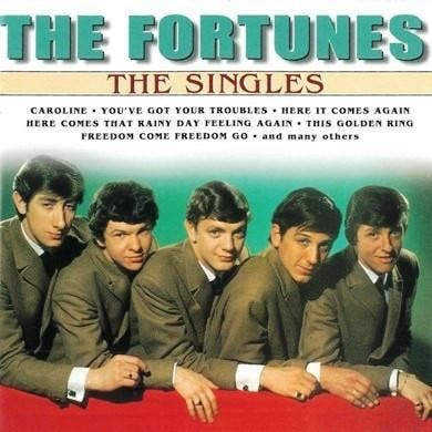 cd - The Fortunes - The Singles, Cd's en Dvd's, Cd's | Overige Cd's, Zo goed als nieuw, Verzenden