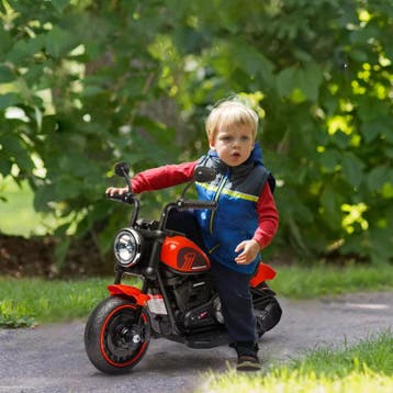 TRUUSK Luxe Honden- en Kattenbuggy - Inklapbaar met Regenbes, Verzenden, Nieuw