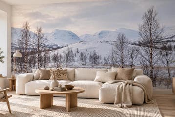 Fotobehang winterlandschap – bergen en berken, Verzenden, Fotobehang
