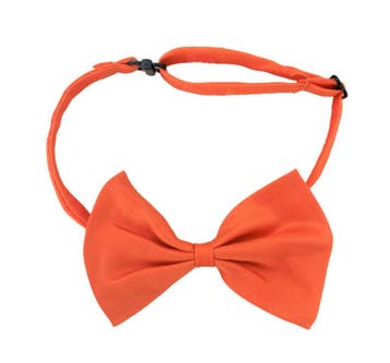 Vlinderdas voor kinderen of volwassenen oranje, Hobby en Vrije tijd, Feestartikelen, Verzenden, Nieuw, Versiering, Oranje of Koningsdag