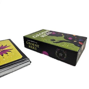 De wijsheid van de groene heks 9789401305969 Cecilia Lattari, Boeken, Verzenden, Zo goed als nieuw, Cecilia Lattari