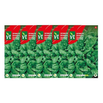 Spinazie zaad | VT | 5 stuks (Winterreus), Tuin en Terras, Verzenden