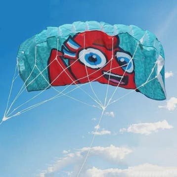 Dual Line Stunt Power Kite - Beginners Kitesurf & Strandplez, Watersport en Boten, Verzenden, Nieuw