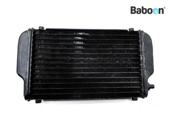 Radiateur Kawasaki EL 250 Eliminator 1988-1990 (EL250B), Verzenden, Gebruikt