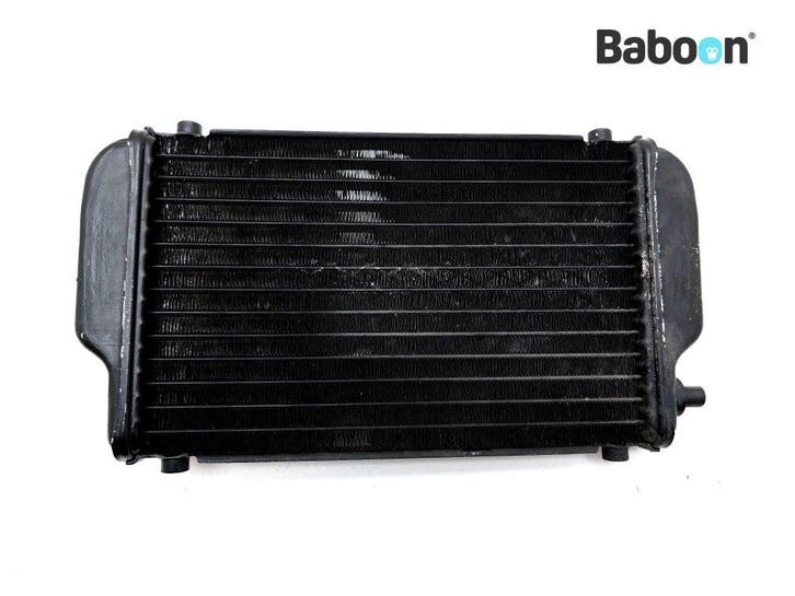 Radiateur Kawasaki EL 250 Eliminator 1988-1990 (EL250B), Motoren, Onderdelen | Kawasaki, Gebruikt, Verzenden