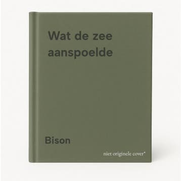 Wat de zee aanspoelde - Bison 9789033102875, Boeken, Verzenden, Gelezen, Bison