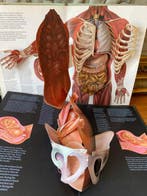 Jonathan Miller, David Pelham - The Human Body & The Facts