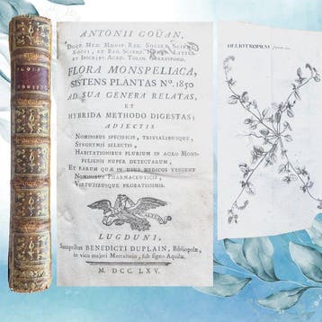 Gouan, Antoine - Flora Monspeliaca Sistens Plantas N 1850., Antiek en Kunst