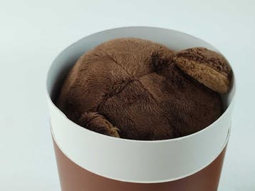 Lotgenootje Verzwaringsknuffel Beer - 2kg, Verzenden, Nieuw