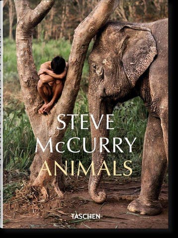 9783836597036 Steve McCurry Reuel Golden, Boeken, Verzenden, Nieuw, Reuel Golden