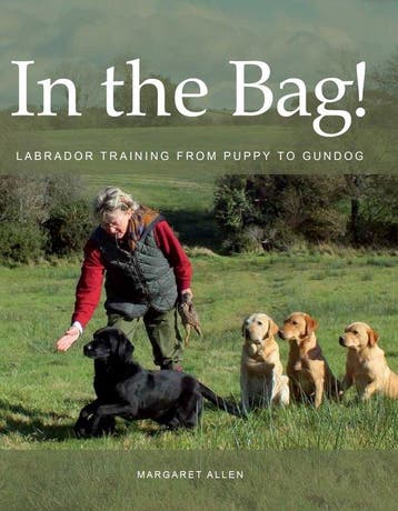 In the Bag! - Margaret Allen 9780719841248, Verzenden, Zo goed als nieuw, Margaret Allen