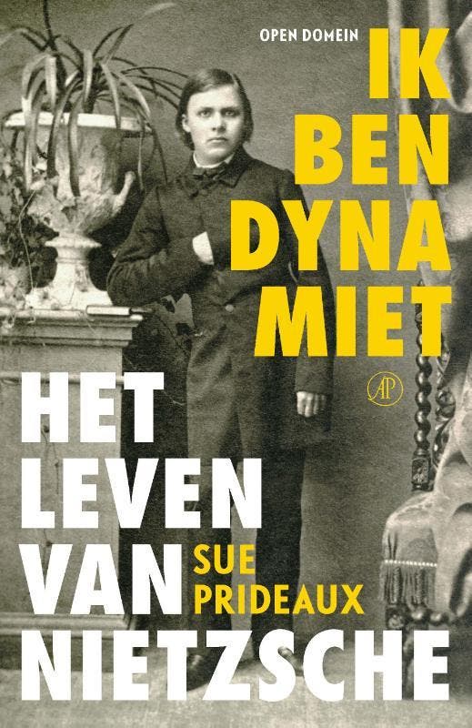 Ik ben dynamiet / Open Domijn / 54 - Sue Prideaux, Boeken, Literatuur, Zo goed als nieuw, Verzenden