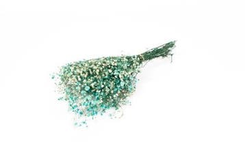 Geprepareerd gepreserveerd gipskruid aquamarijn turquoise 60, Ophalen of Verzenden, Nieuw