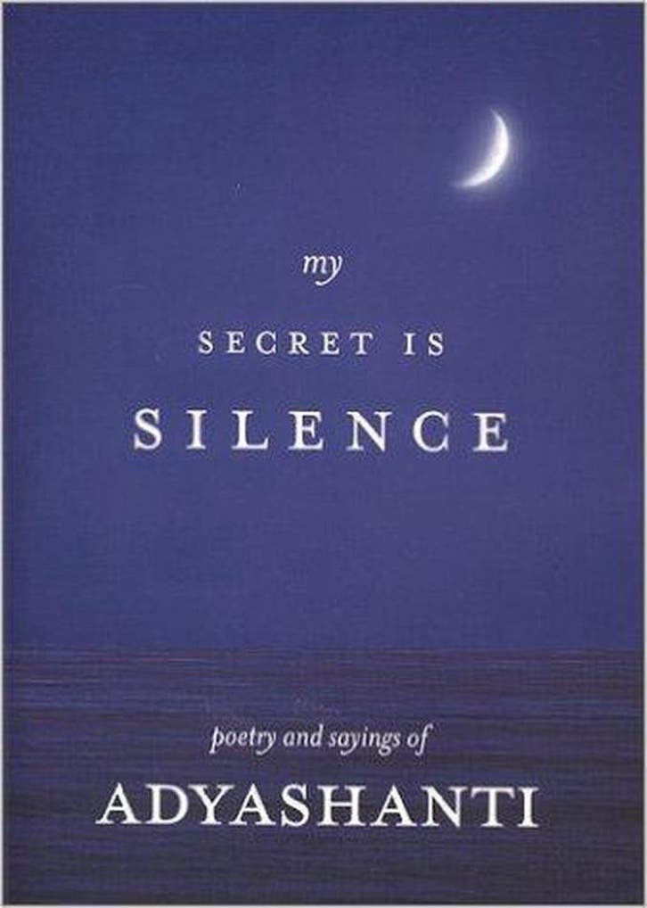 My Secret is Silence 9780971703612 Adyashanti, Boeken, Taal | Engels, Zo goed als nieuw, Verzenden