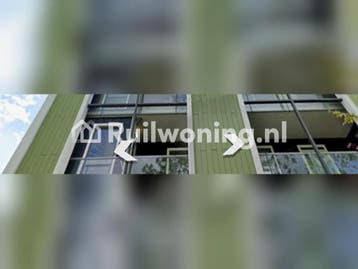 Zaandam Gezellig buurt, Amsterdam